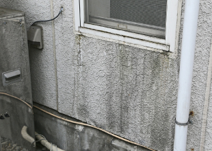 変色や退色している