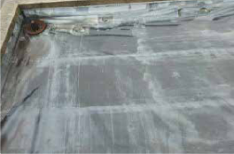 建物にこんな症状が現れたら…